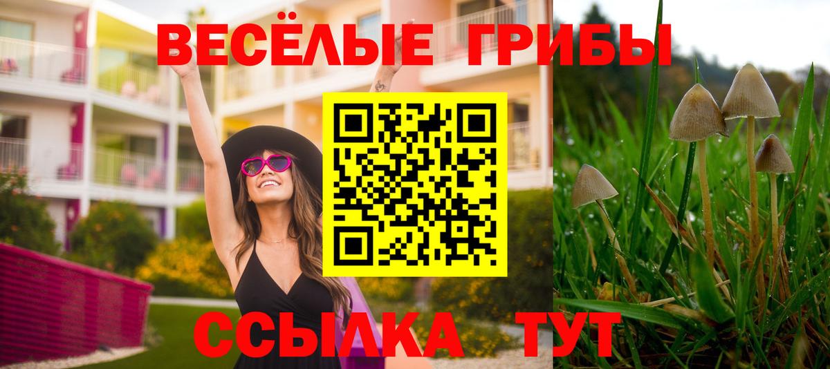 Галлюциногенные грибы Magic Shrooms Ивантеевка