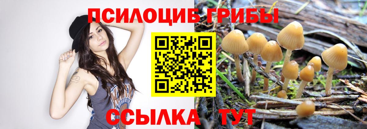 Псилоцибиновые грибы Cubensis  Вход с VPN  Галлюциногенные грибы Psilocybine cubensis  Ивантеевка 